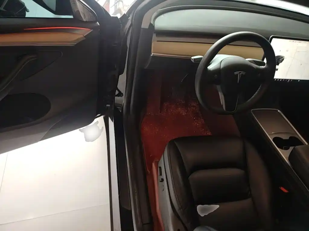 Tesla Model Y — миниатюра 16