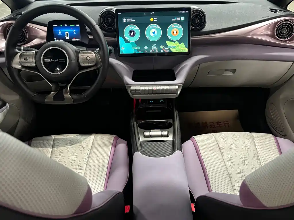 BYD Dolphin — миниатюра 2