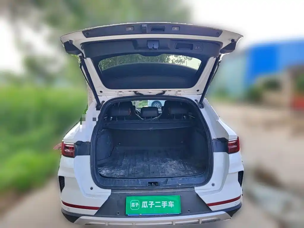 BYD PLUS — миниатюра 15