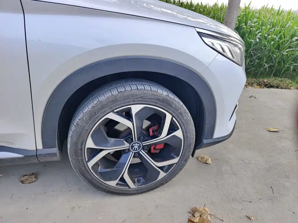 BYD PLUS — миниатюра 24