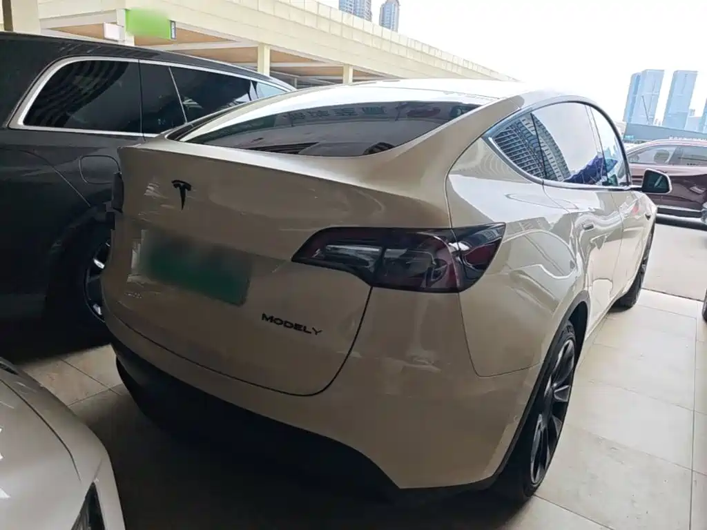Tesla Model Y — миниатюра 7