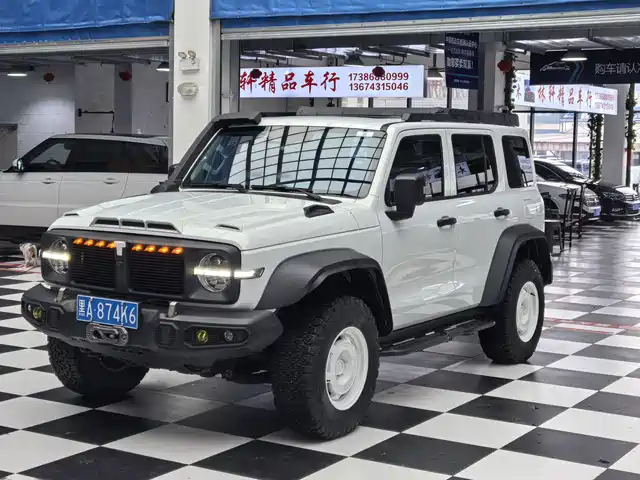 2024 TANK 300