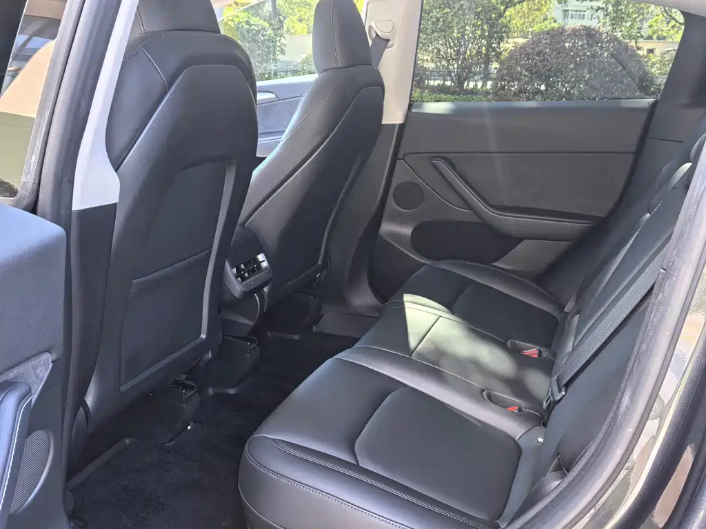 Tesla Model Y — миниатюра 10