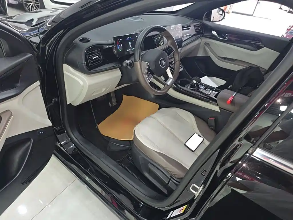 BYD Qin PLUS — миниатюра 20