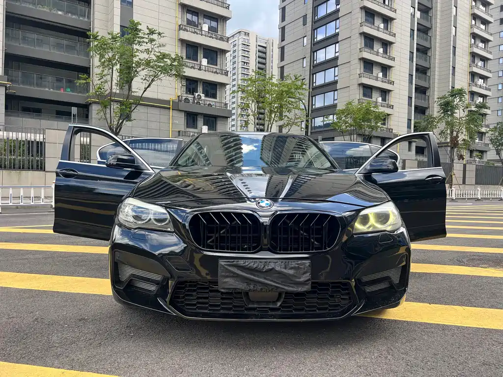 BMW 5 Series — миниатюра 2