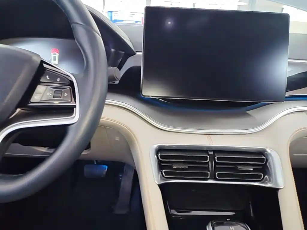 BYD PLUS New Energy — миниатюра 10