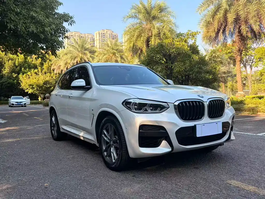 BMW X3 — миниатюра 3