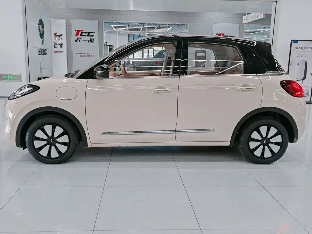 Wuling Binguo 2025 333km Enjoy