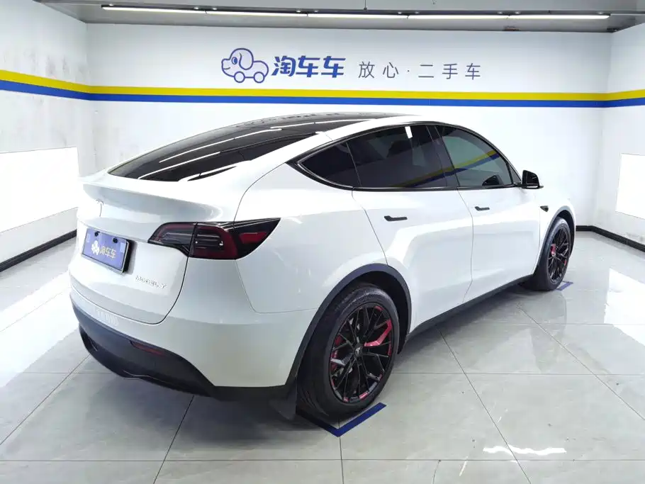 Tesla Model Y — миниатюра 3