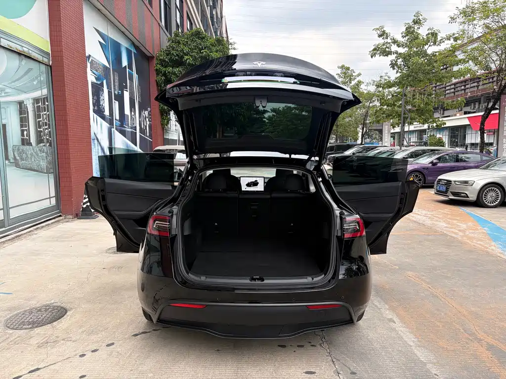 Tesla Model Y — миниатюра 14