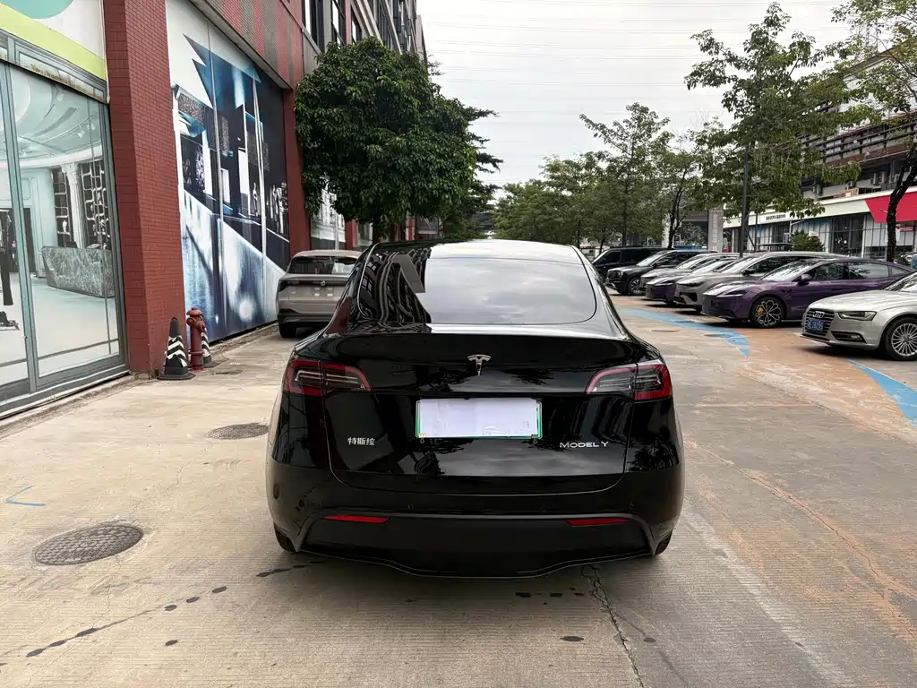 Tesla Model Y — миниатюра 5