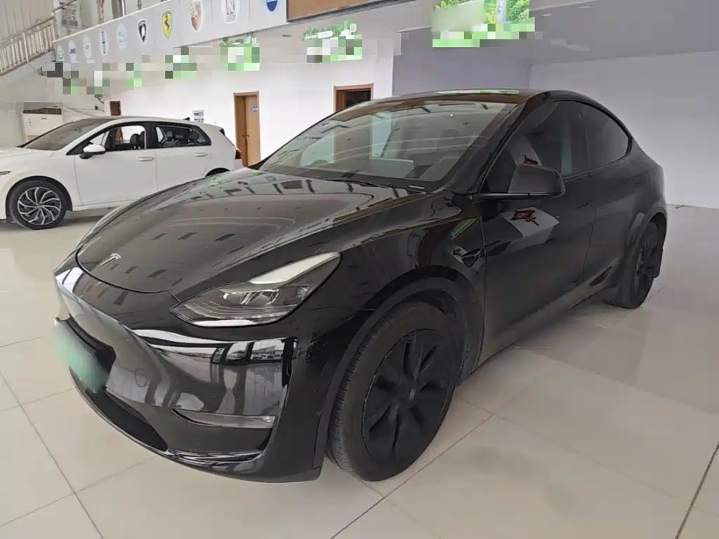 Tesla Model Y — миниатюра 2