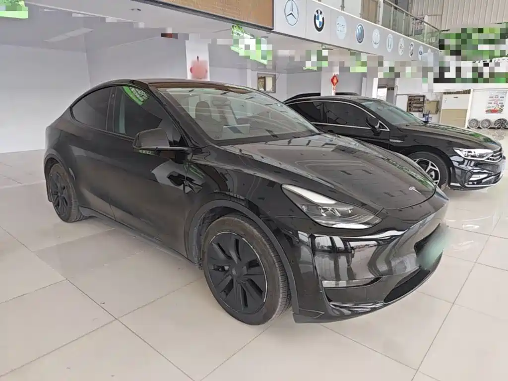 Tesla Model Y — миниатюра 4