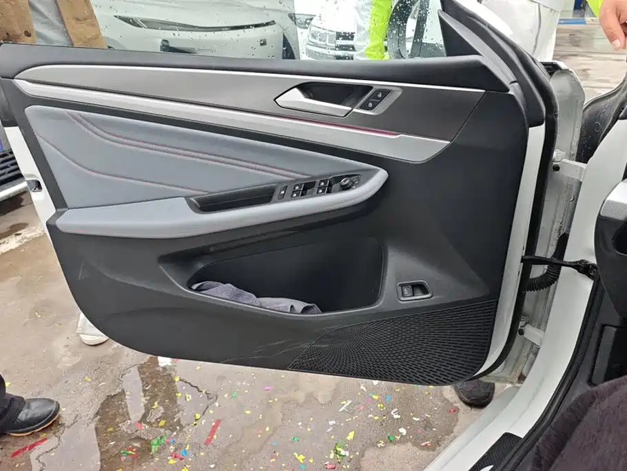 Volkswagen Lamando — миниатюра 7