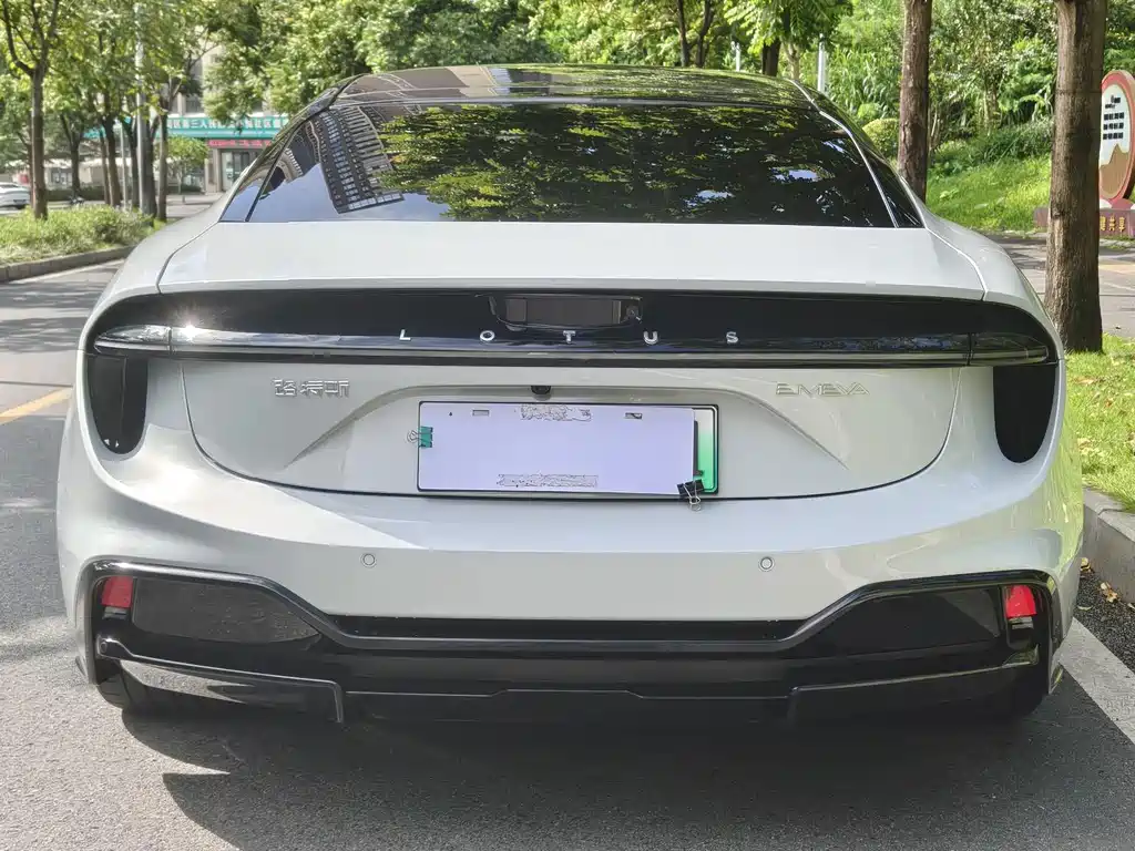 Lotus EMEYA — миниатюра 5