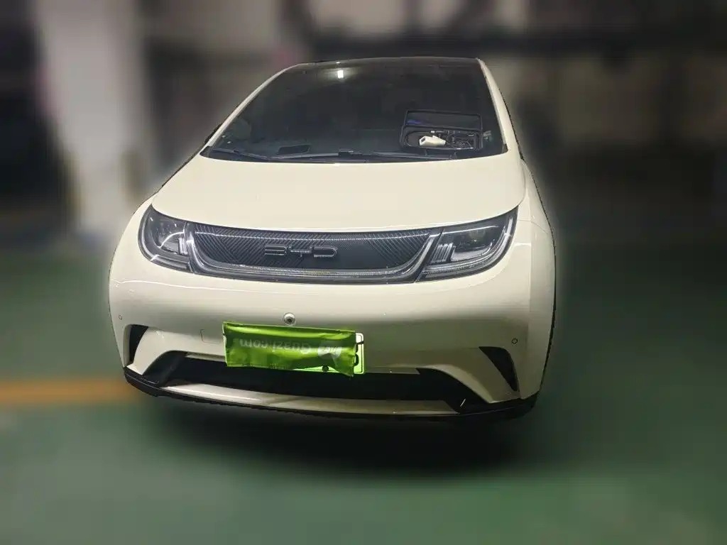 BYD Dolphin — миниатюра 2