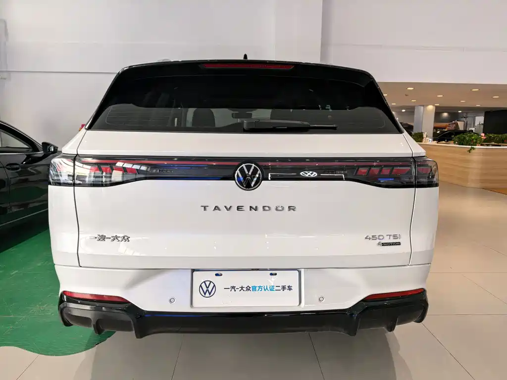 Volkswagen Tavendor — миниатюра 4