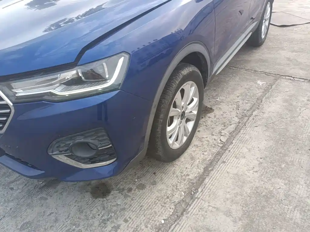 Haval H4 — миниатюра 25