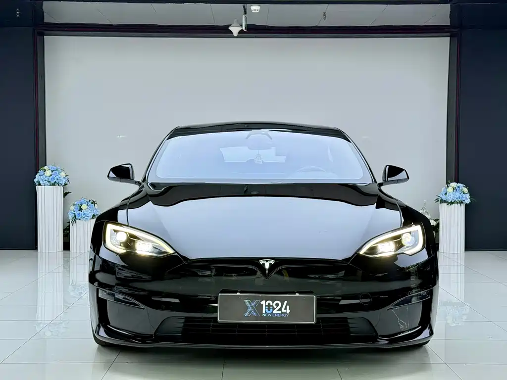 Tesla Model S — миниатюра 2