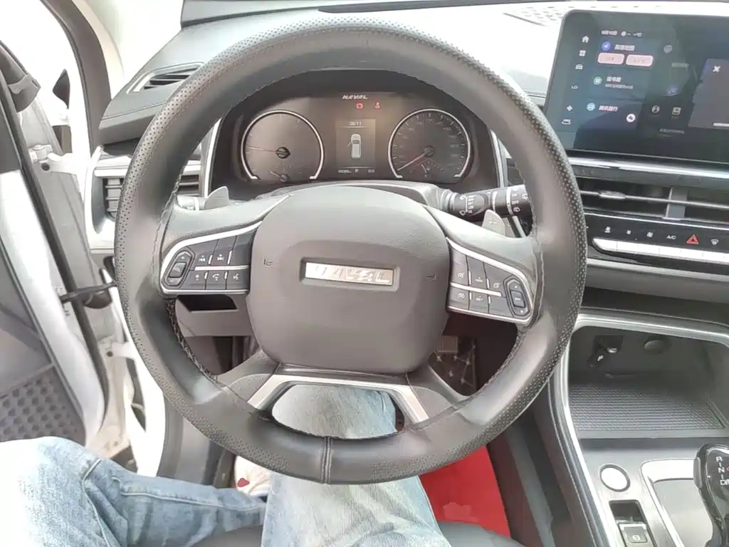 Haval H6 — миниатюра 11
