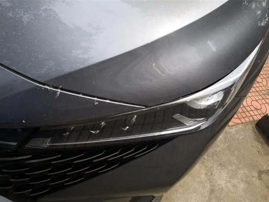 ROEWE RX5 NEW ENERGY