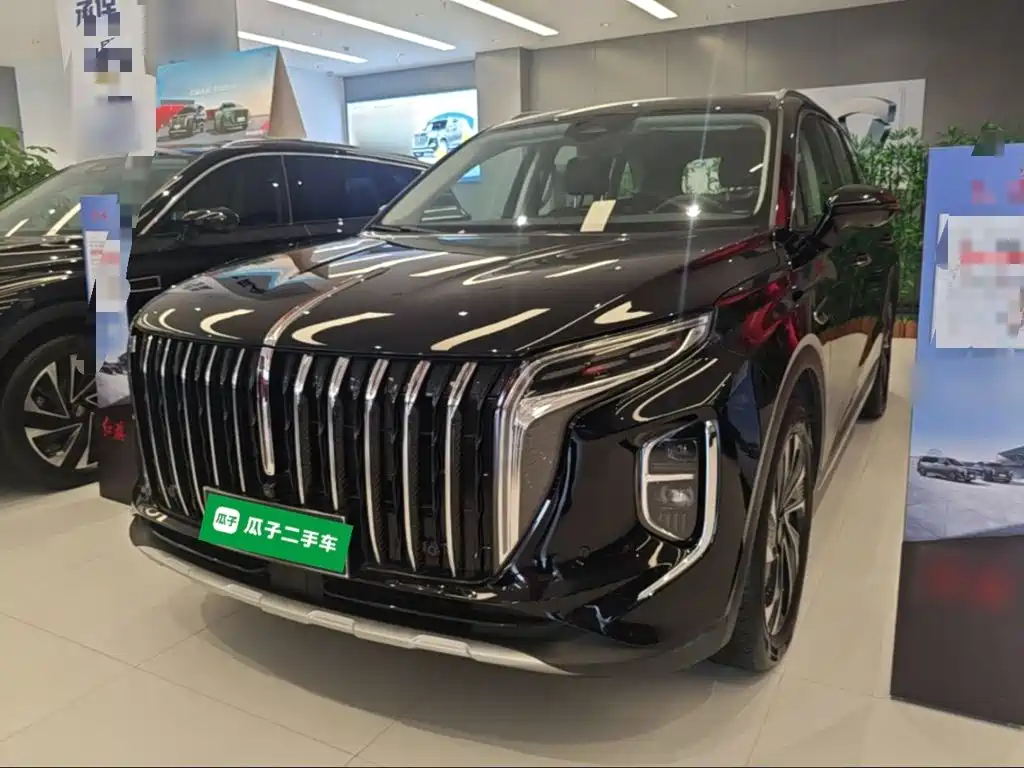 Hongqi Hongqi HS7 PHEV — миниатюра 2