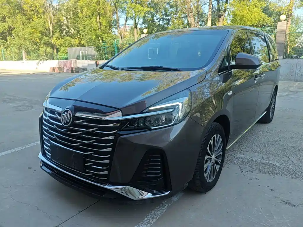 Buick GL8 — миниатюра 2