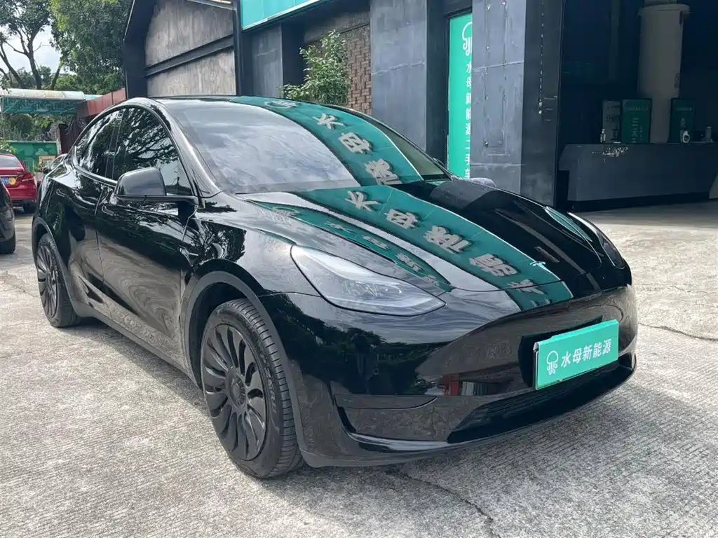 Tesla Model Y — миниатюра 14