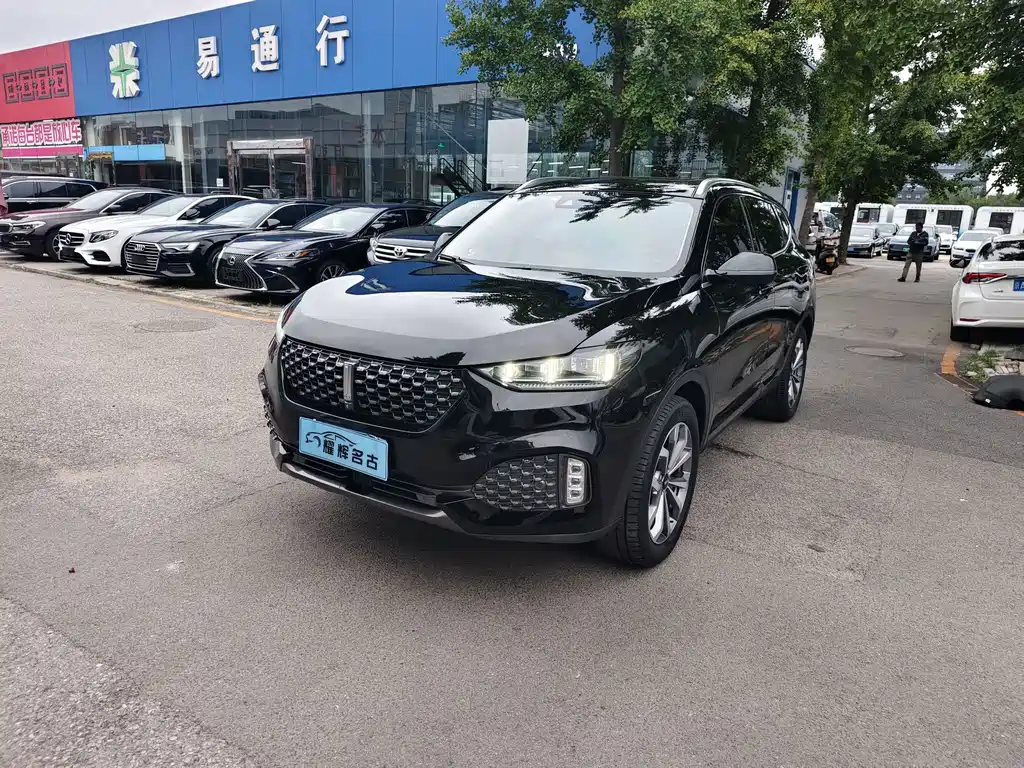 Wey Wey VV6 — миниатюра 3