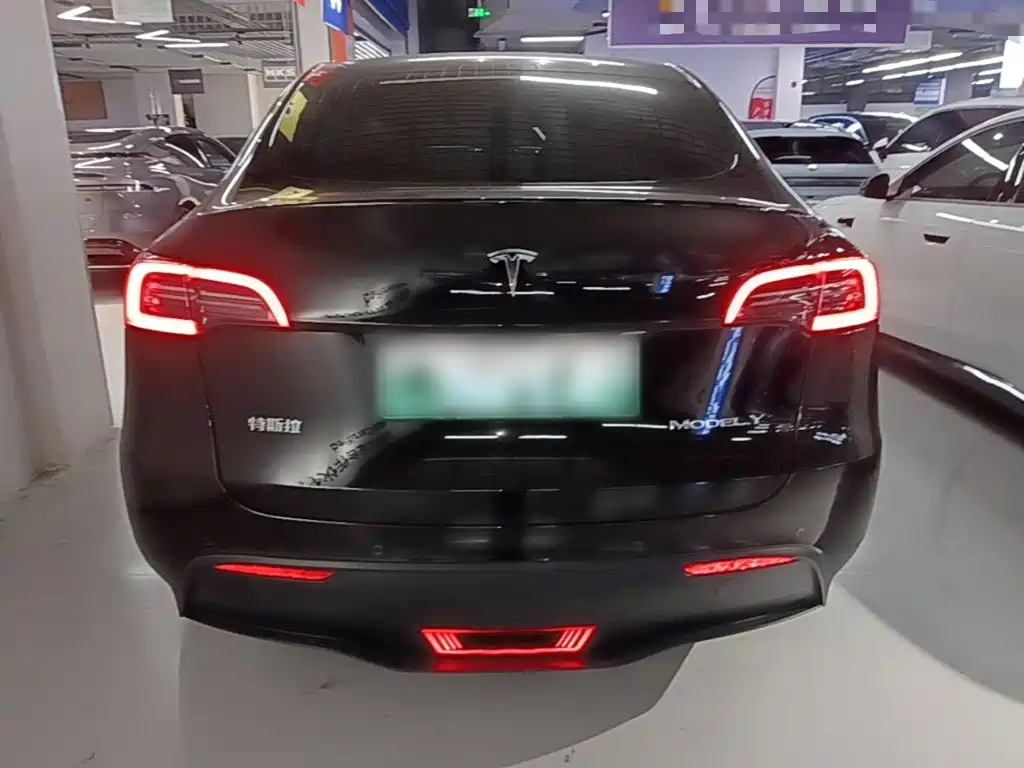 Tesla Model Y — миниатюра 6