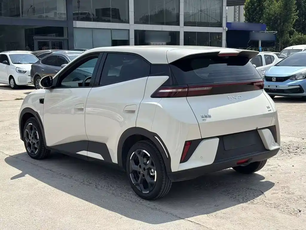 BYD Seagull 2025 Smart Drive 305km Freedom