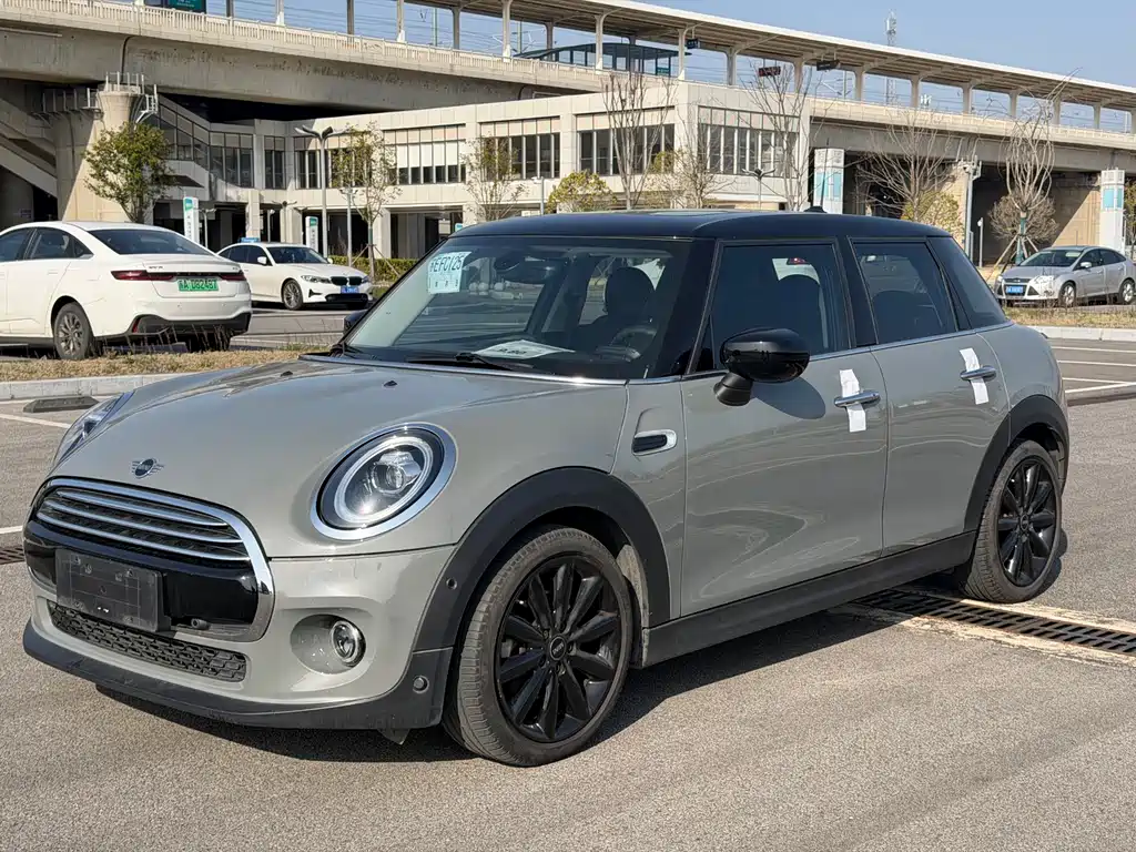 Mini Mini 2020