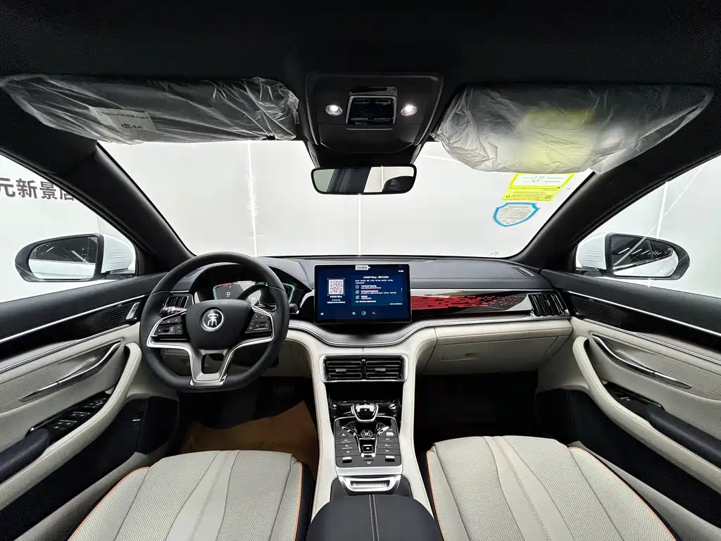 BYD PLUS New Energy — миниатюра 5