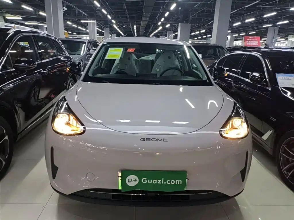 Geely Geome Xingyuan 2026 310km