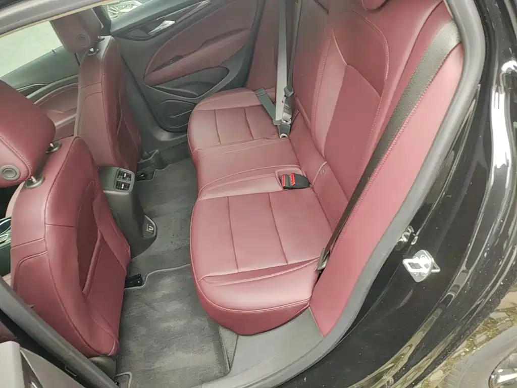 Buick Regal — миниатюра 17