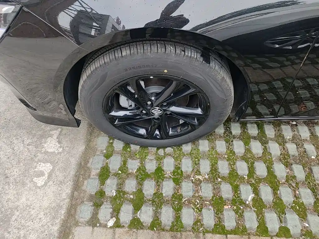 Buick Regal — миниатюра 23