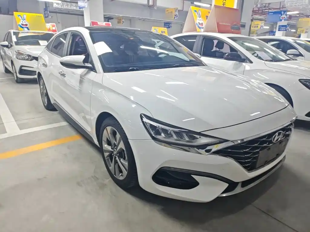 Hyundai Fista — миниатюра 4