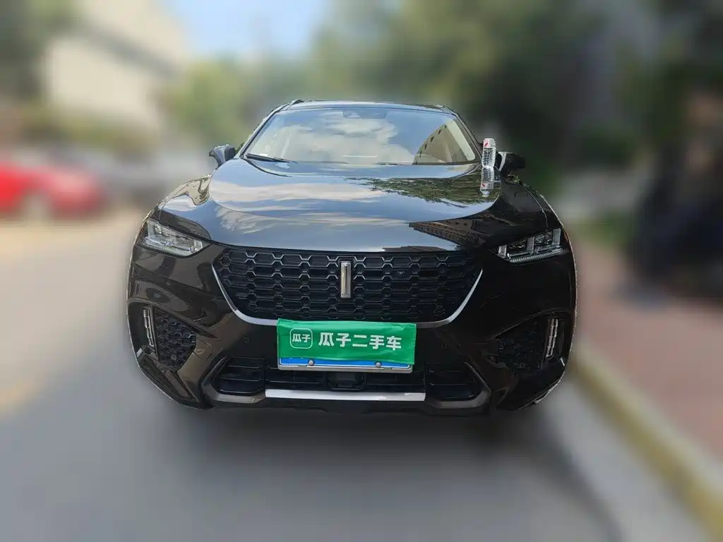 Wey Wey VV7 — миниатюра 3