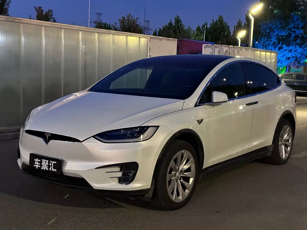Tesla Model X — миниатюра 4