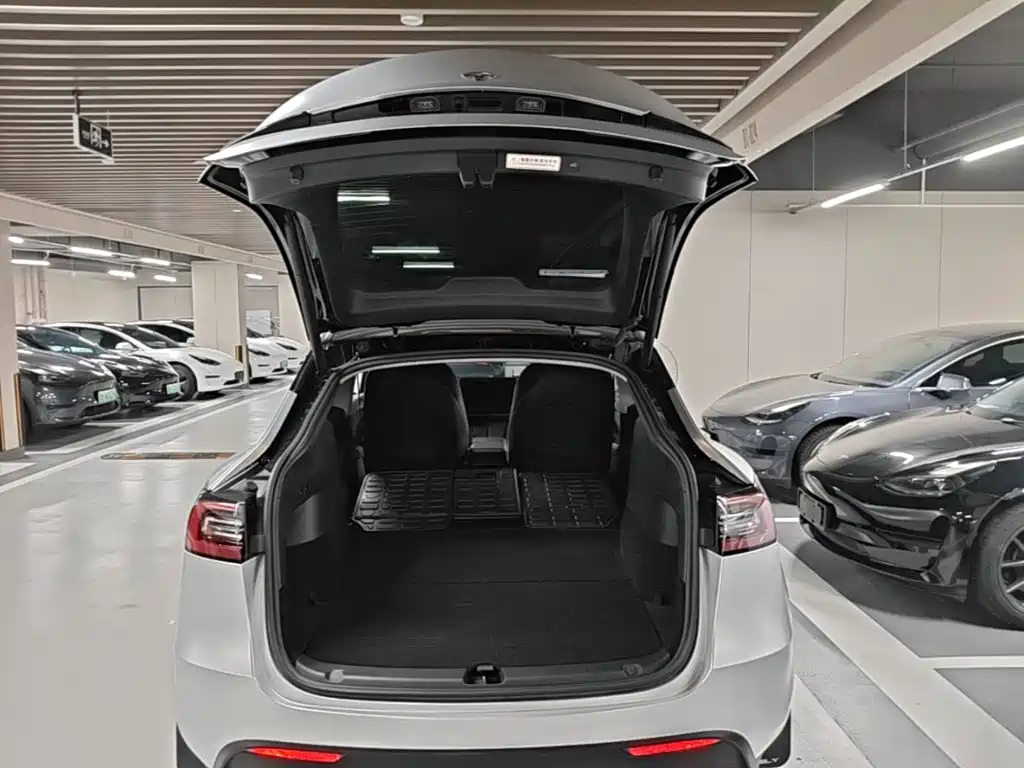 Tesla Model Y — миниатюра 19