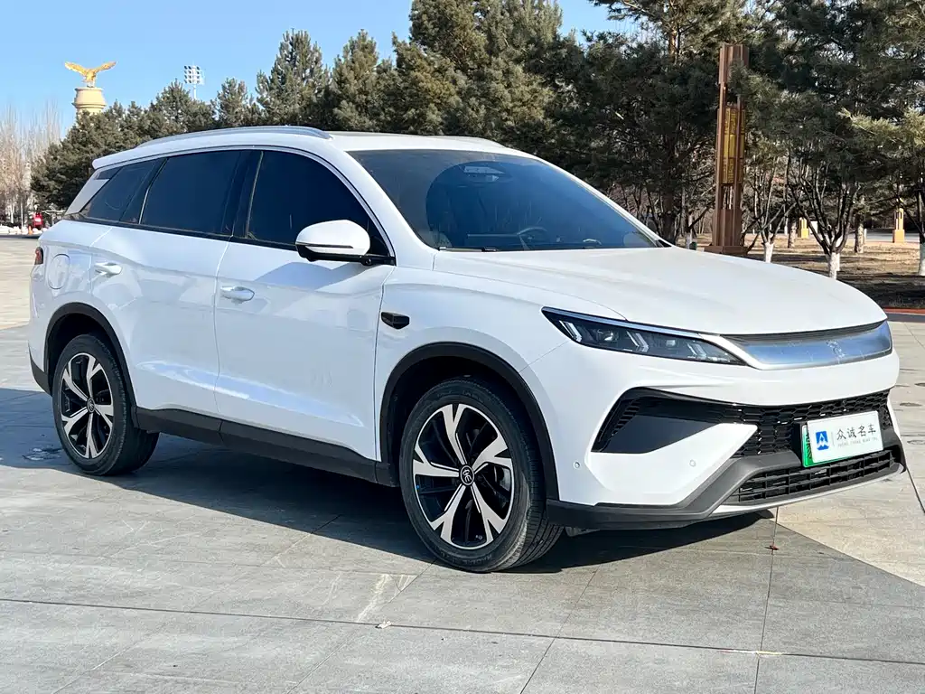 BYD SONGJIANG NEW ENERGY