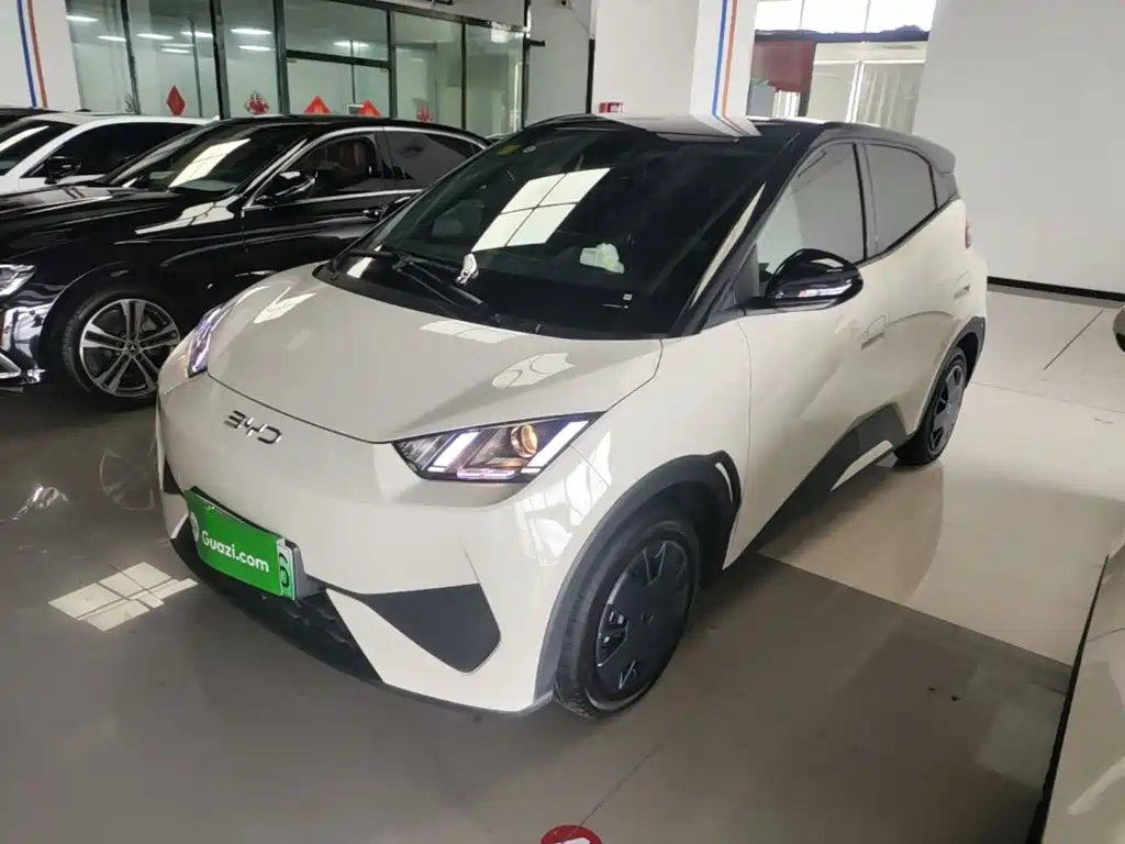 2025 BYD Seagull - zdjęcie 1 z 25