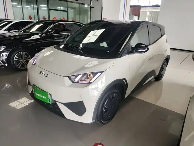 2025 BYD Seagull