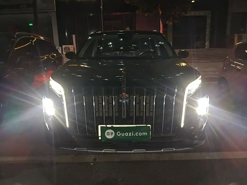 Hongqi Hongqi HS7 PHEV — миниатюра 3