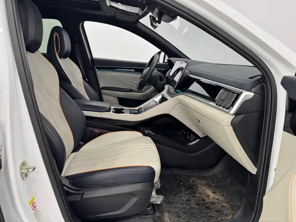BYD PLUS New Energy — миниатюра 11
