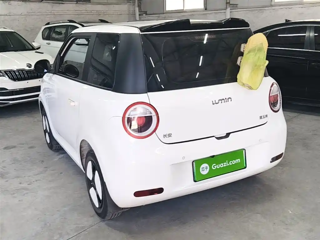 Changan Lumin 2025 301km