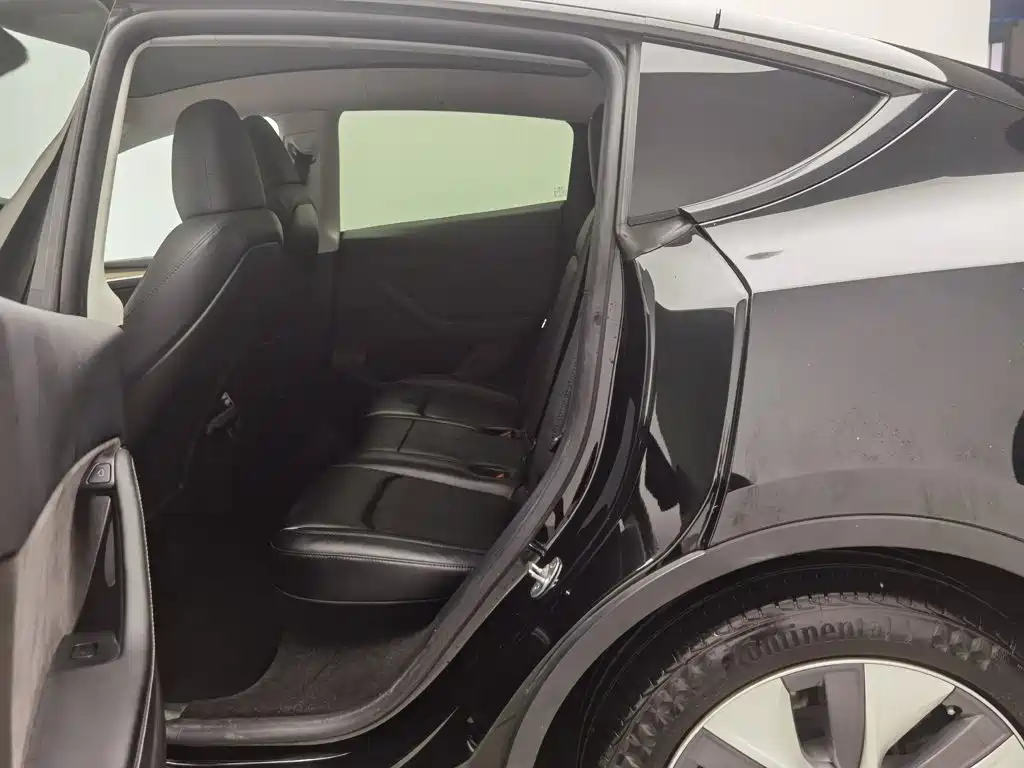 Tesla Model Y — миниатюра 15