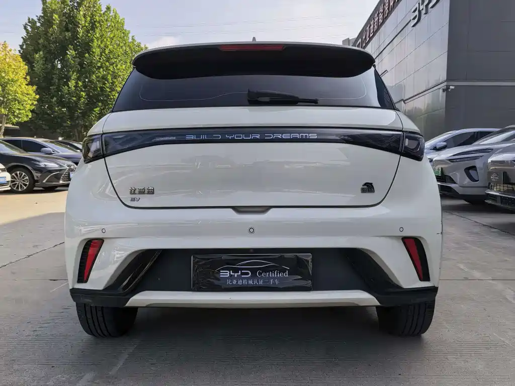 BYD Dolphin — миниатюра 4