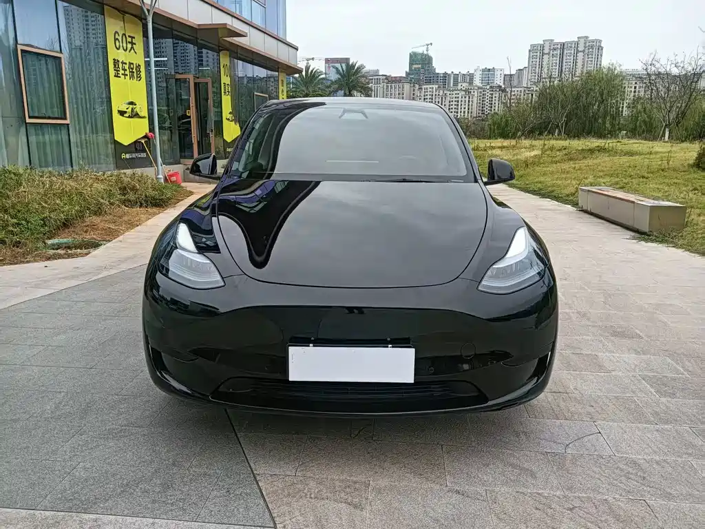 Tesla Model Y — фотографии объявления, Фото 2
