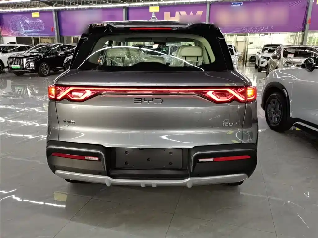 BYD Yuan Up UP 2025 301KM